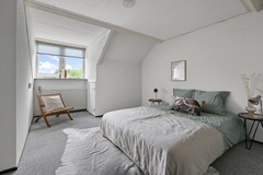 Tormentil 5 Castricum De Groot 45.JPG